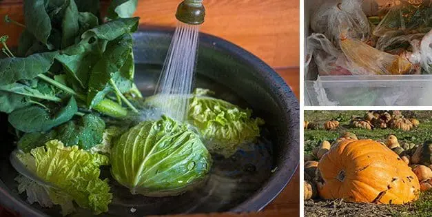 8 Dangerous Mistakes To Avoid When Storing Your Food