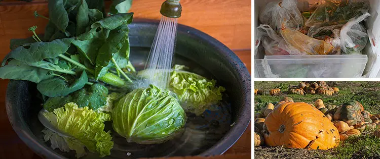 8 Dangerous Mistakes To Avoid When Storing Your Food