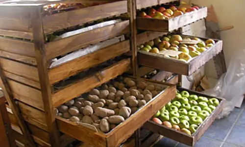 mistakes for storing food