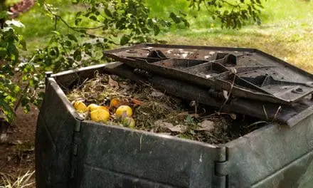 39 Items You Can Compost