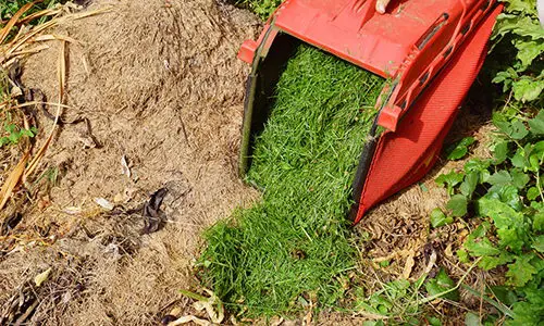 39 items you can compost