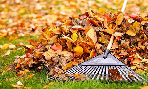 39 items you can compost