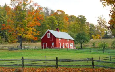 Does Government Still Have Power Over You If You’re Off The Grid?