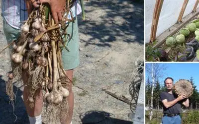 Vegetable Independence – 100% Self-Reliant Vegetable Production