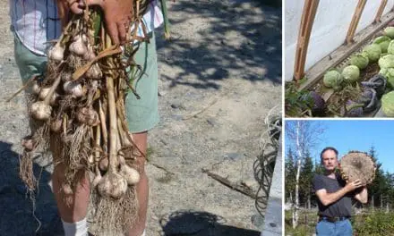 Vegetable Independence – 100%  Self-Reliant Vegetable Production