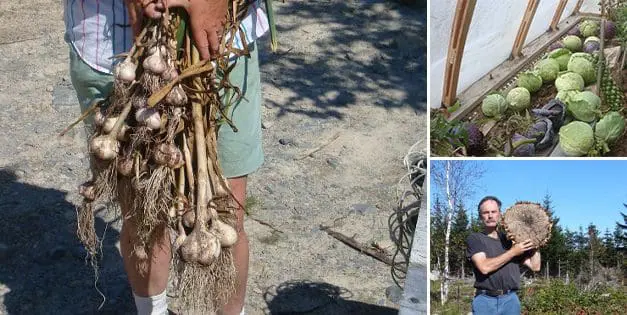 Vegetable Independence – 100%  Self-Reliant Vegetable Production