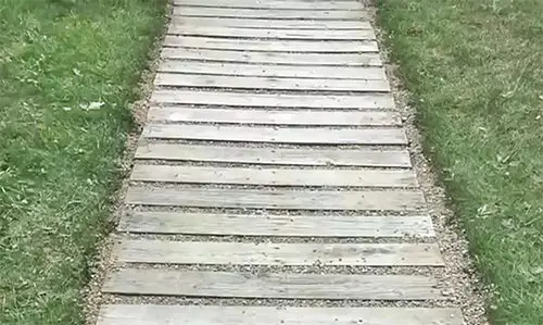 ingenious projects for backyard