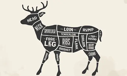 when you should eat a roadkill and when you should not