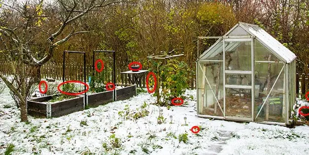 10 Vegetables To Plant In Fall For Winter Harvest