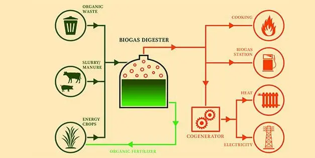 A Homesteader’s Guide to Biogas as an Alternative Fuel