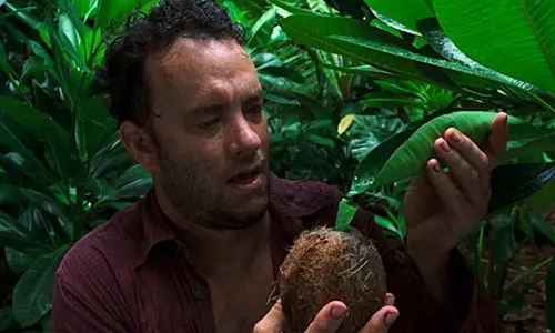 Cast Away Homestead movie