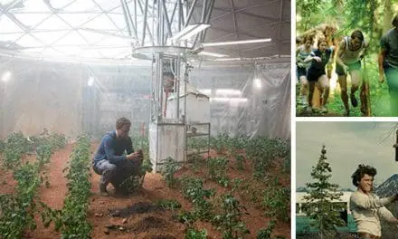 Best Homesteading Movies To Watch