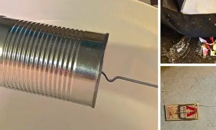 Cheap and Easy DIY Rat Trap