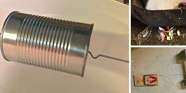 Cheap and Easy DIY Rat Trap