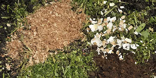 uses for sawdust - compost