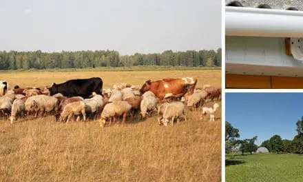 5 Mistakes To Avoid On Your Property