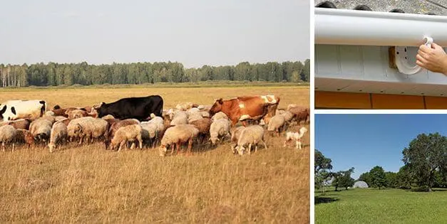 5 Mistakes To Avoid On Your Property