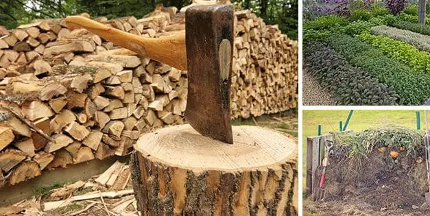 What I’ve Learned Homesteading With My Family of 8