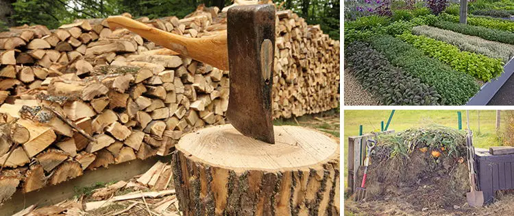 What I’ve Learned Homesteading With My Family of 8