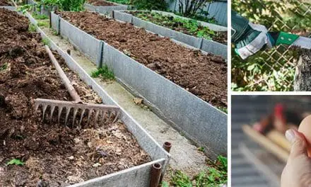 My Day As A Homesteader During Winter