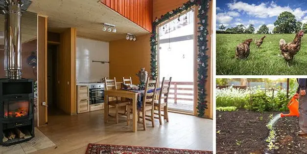 A Warning To All New Homesteaders