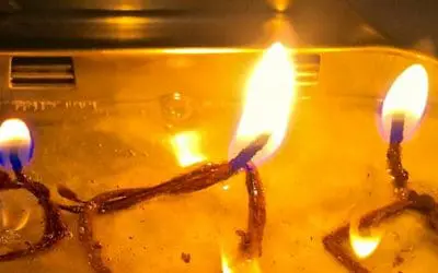 An Emergency Slush Lamp Hack Using a Torch Plant Leaf