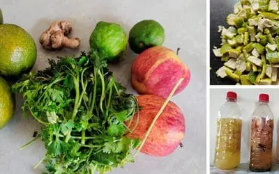 DIY Cheap Bio Enzyme Solution For Home Cleaning