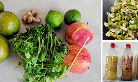 DIY Cheap Bio Enzyme Solution For Home Cleaning