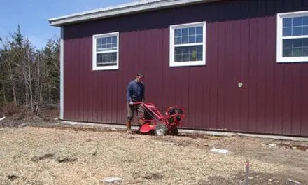 Homesteading Dollars And Sense