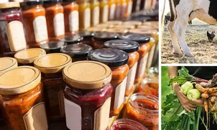 How I Live During Winter Without Ever Going To The Supermarket