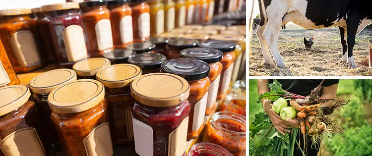 How I Live During Winter Without Ever Going To The Supermarket