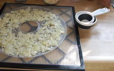 How To Dehydrate Milk For Long Term Storage