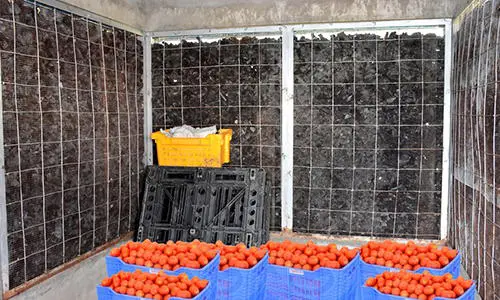 Using charcoal for your fridge