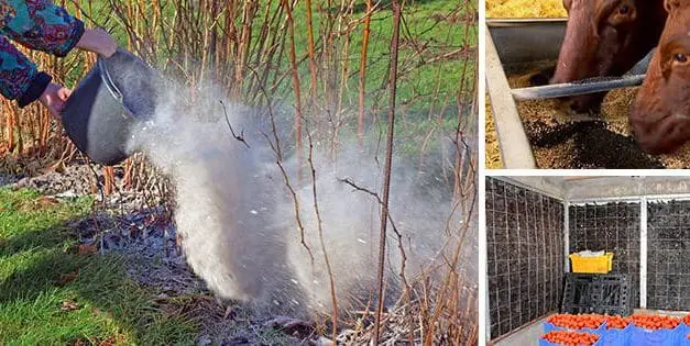 This Is Why You Should Have Charcoal Around The Property