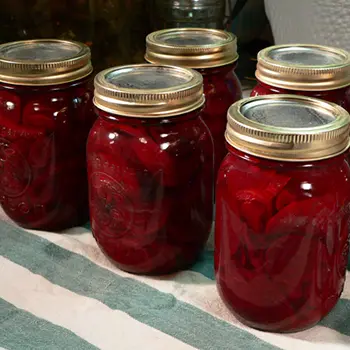 10 Canning Recipes From The Amish - Amish Canned Pickled Red Beets