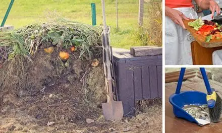 10 Common Composting Mistakes. Are You Making One Of Them?