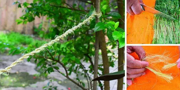 DIY Rope From Most Common Plants