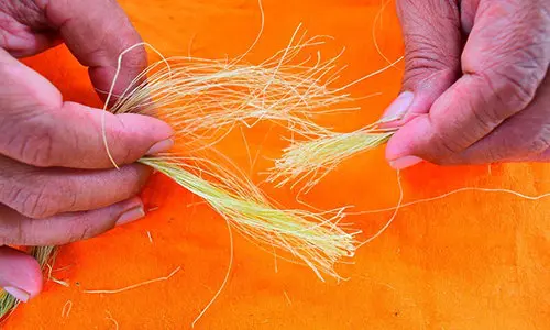 DIY Rope From Most Common Plants