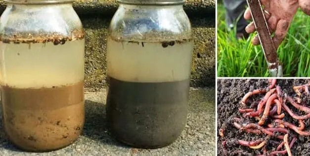 How to Prepare Your Soil For Your Spring Garden