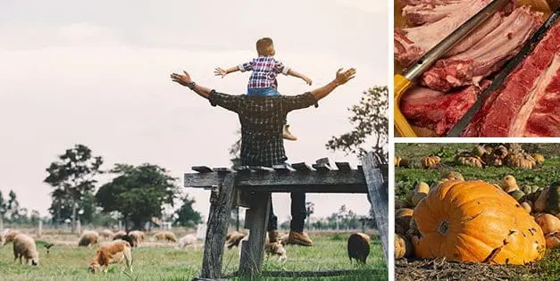 My Advice For All Homesteaders Out There