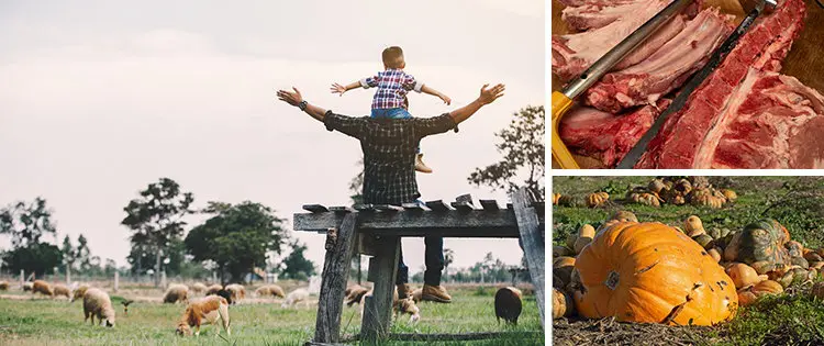 My Advice For All Homesteaders Out There