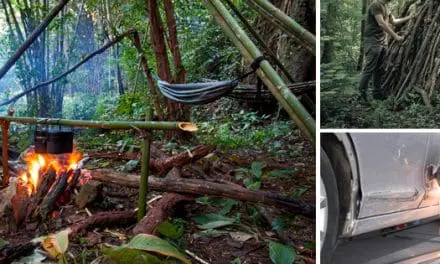 25 Basic Life Skills That Should Be Taught in School (But Aren’t)