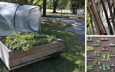 Survival Garden: Ingenious Ways To Grow Yours Almost For Free