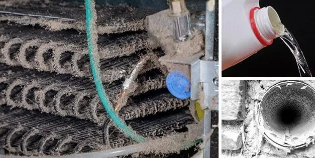 Home Cleaning Mistakes That Can Cost You Your Health