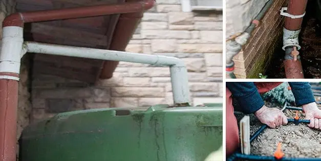 Rainwater Tank That Irrigates A Small Herb Garden