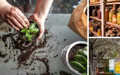 Homesteading To Do’s: April