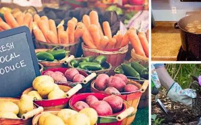 10 Ideas For A Backyard Business