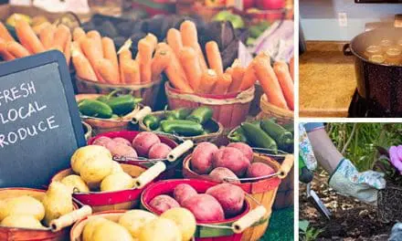 10 Ideas For A Backyard Business