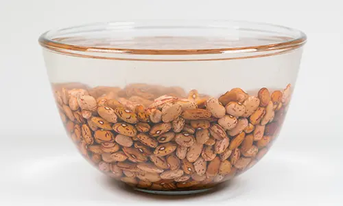 fruits and veggies to dehydrate for long term storage