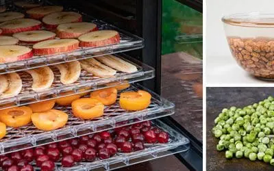 10 Fruits And Veggies To Dehydrate For Long-Time Storage